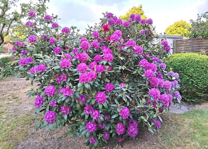 Lejlighed Gaestehaus Kuehn Nord